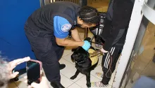 TSA Officer Daynin Harris screens a guide dog in training at DCA. (Lisa Farbstein photo)