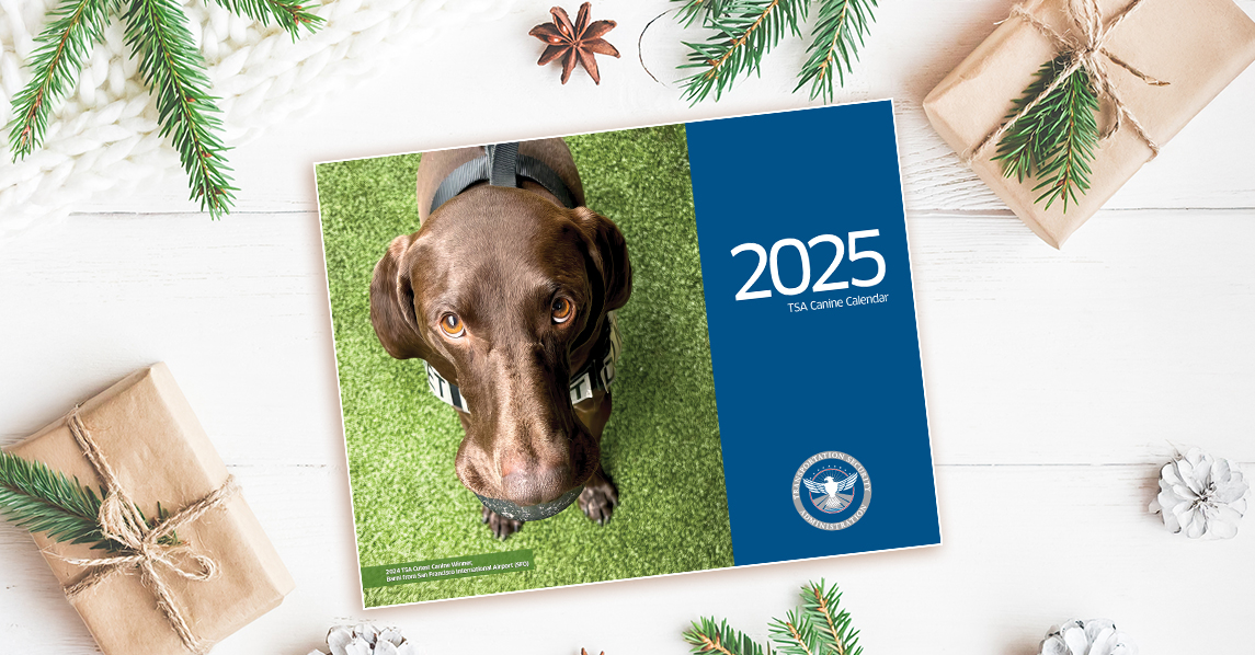 SFO TSA K9 Barni, the winner of TSA's 2024 Cutest Canine Contest, is displayed on the cover of TSA's 2025 K9 Calendar.