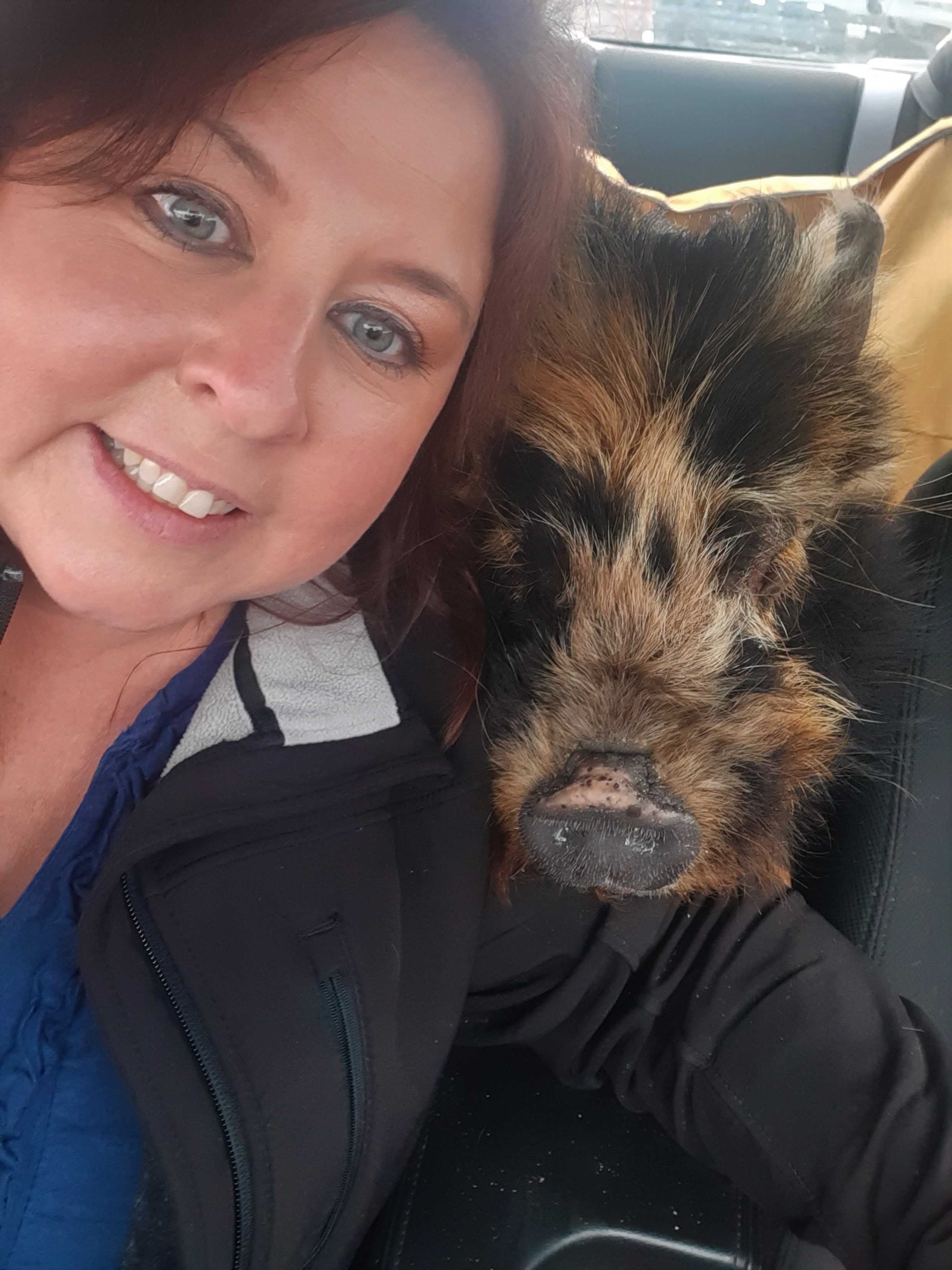 Selfie with pig