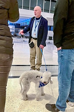 Attendees of the Fear of Flying class were introduced to an emotional support dog in the Lehigh Valley International Airport terminal. Zander is a Bedlington Terrier. (Photo by Lisa Farbstein)