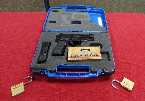 Hard Gun Case