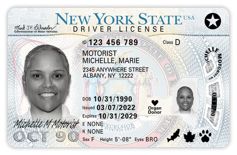 Driver License Information  Department of Transportation