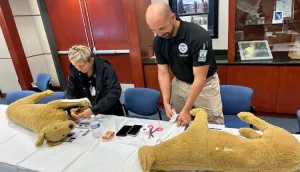 Canine handlers April Dwight and Kelsey King practice applying splints to a dog’s broken leg. (TSA TPA photo)