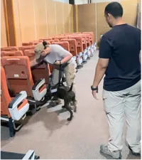 Honing search skills at the Canine Training Center.