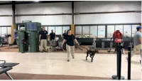 Katie Antonovich and her new partner, Niki, practice their gate screening skills at TSA’s Canine Training Center.