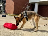 Hary doing some training. (TSA photo)