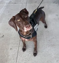 An eager Niki is ready to work.