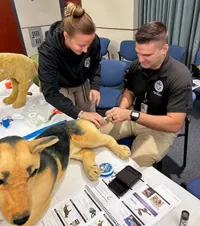 Jessica Woodall and Michael Rossi practice bandaging a tail injury. (TSA TPA photo)