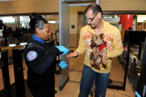 A TSA officer will swab the hands of travelers to check for any traces of explosives. (TSA photo)