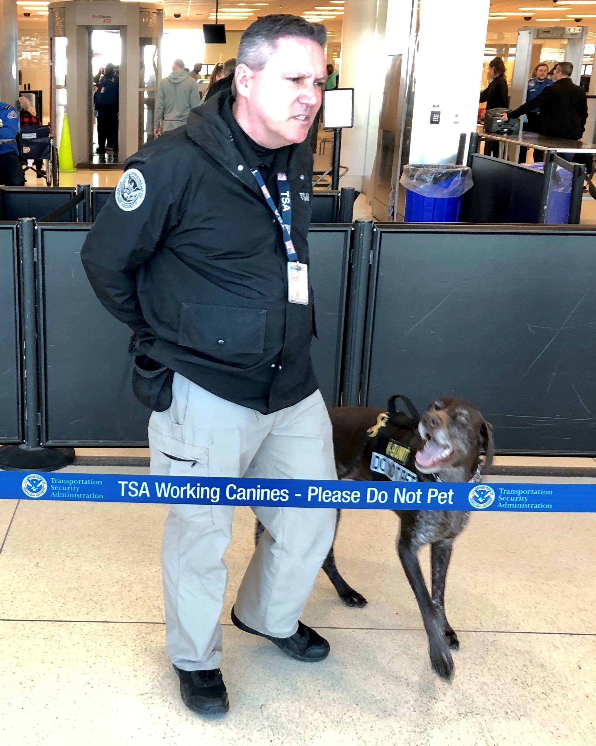 TSA Canine Handler Todd Fox works in a security checkpoint line at Philadelphia International Airport with Don, a German Short-haired Pointer. (TSA photo)